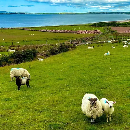 לינה וארוחת בוקר Railway 3*