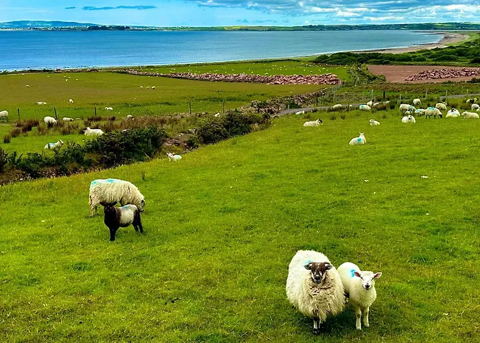 住宿加早餐酒店 Railway 3*