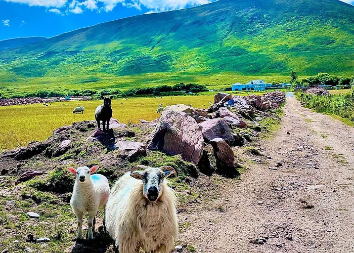 住宿加早餐酒店 Railway